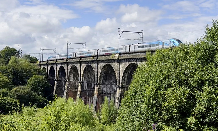 Scaffolding at Sankey viaduct