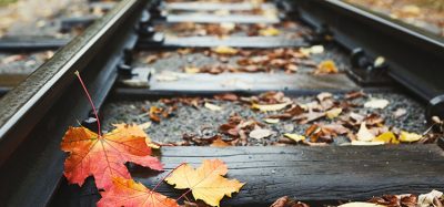 铁路轨道特写背景与秋天的落叶