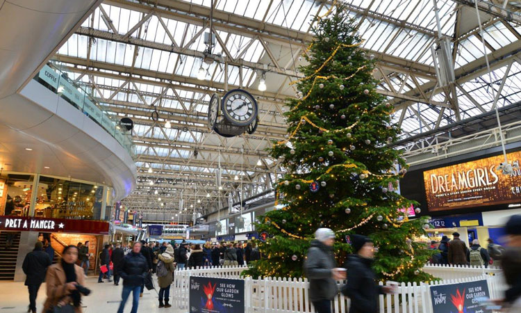 Waterlook火车站的圣诞树