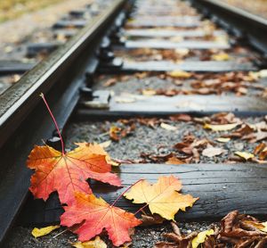 铁路轨道特写背景与秋天的落叶
