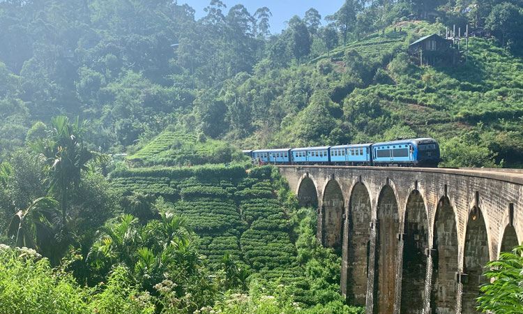 斯里兰卡旅游火车
