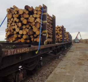 苏格兰政府资助木材运输试验以鼓励模式转换