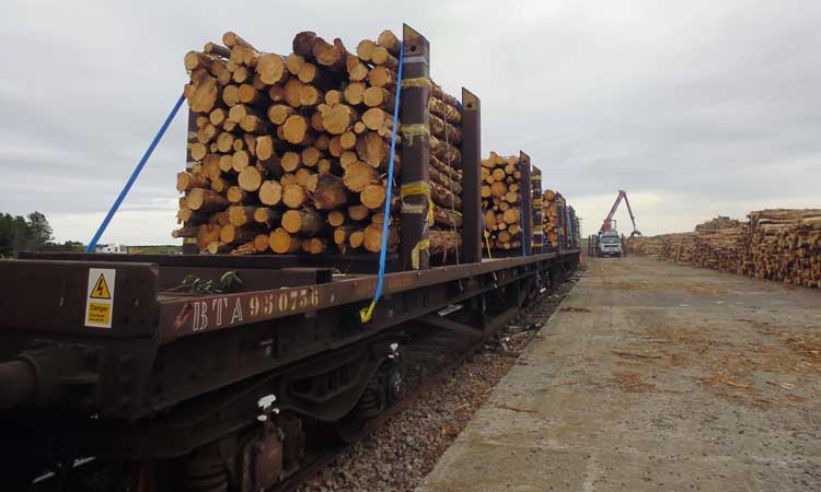 苏格兰政府资助木材运输试验以鼓励模式转换